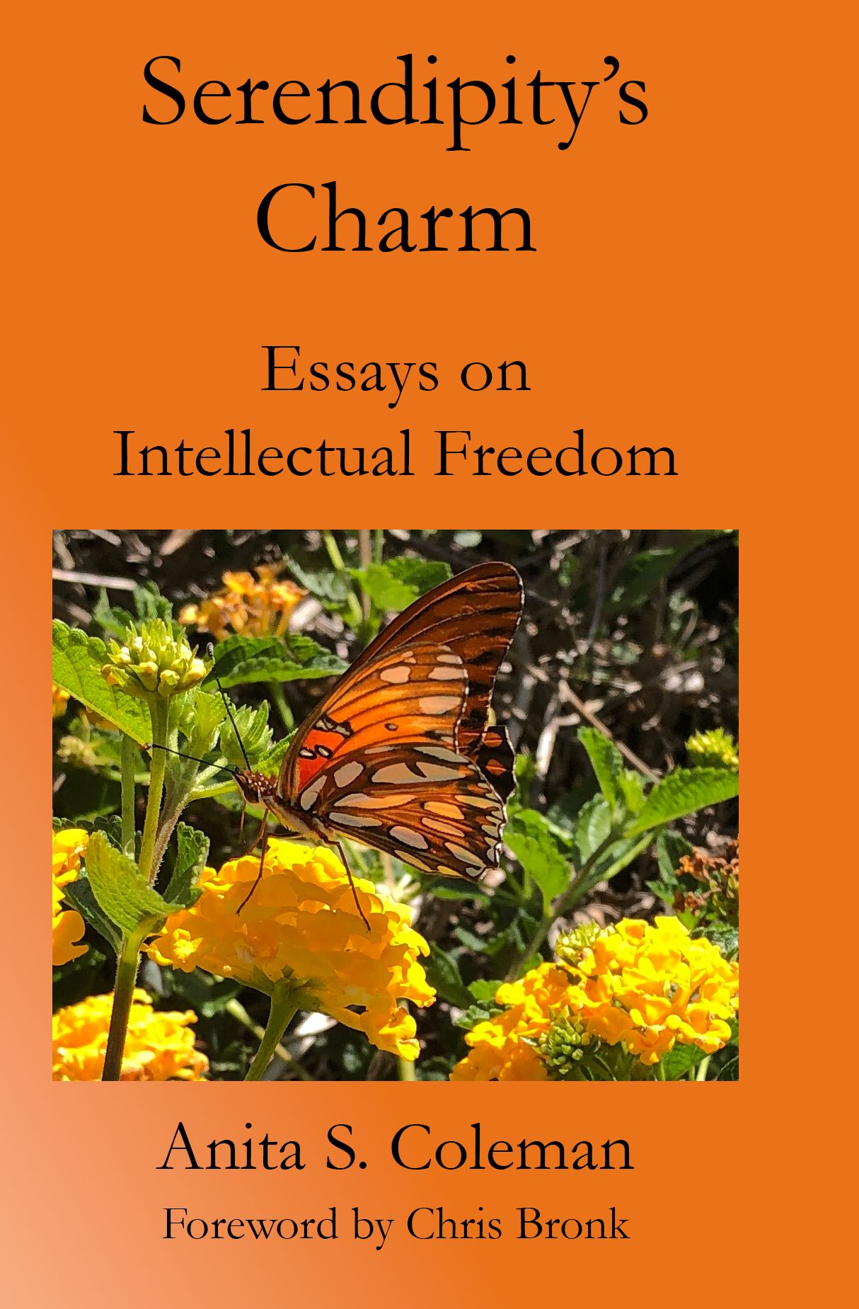 Draft front cover of Serendipity's Charm by Anita S. Coleman